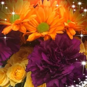 Meet your Posher, Myrna